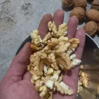 گردو درجه یک
