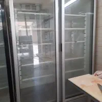 یخچال صنعتی دو در مخصوص فروشگاه مرغ و پروتئینی