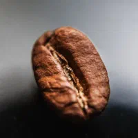 پخش مستقیم قهوه و پودریجات قهوه