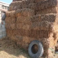 فروش کاه گندم