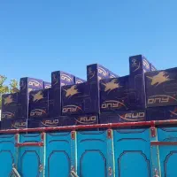 توالت.فرنگی چینی کرد انیکس