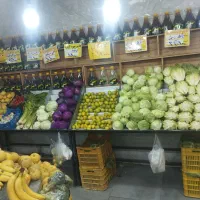 پالت میوه|عمدهفروشی|تهران, مدائن|دیوار