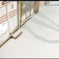 دوربین مداربسته|دوربین مداربسته|تربت جام, کشتارگاه|دیوار