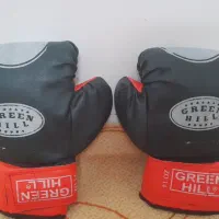 دستکش بکس سالمم