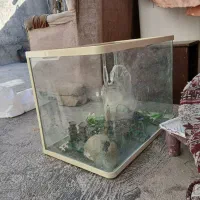 اکواریم