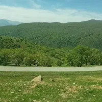 ۰۹۱۶۳۷۰۴۱۰۰