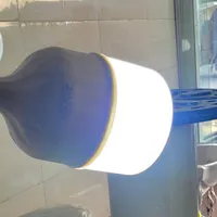 لامپ پارس