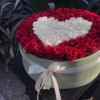 دسته گل باکس گل رز هلندی صد شاخه ای فقط ۹۹۹تومن|گل و گیاه طبیعی|مشهد, آزادشهر|دیوار