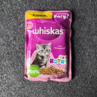 فروش پوچ ویسکاس و فلیکس و دارلینگ|لوازم جانبی حیوانات|تهران, شهرک آزمایش|دیوار