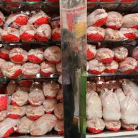 مرغ و گوشت آرکا به نرخ تعاونی