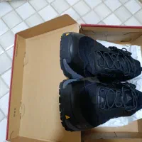 کتونی هامتو