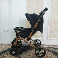 کالسکه دلیجان مناسب سیسمونی