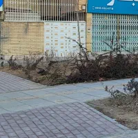 اجاره مغازه تجاری ۱۶۰ متر بصورت امور دفتری باسرویس