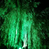 ۱۰۰۰مترباغ،دوردیوار،شاه نامه۱۸ احمدآباد|فروش زمین و ملک کلنگی|مشهد, شمس آباد|دیوار
