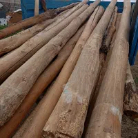 خرید انواع چوب|خدمات باغبانی و درختکاری|خمین, |دیوار