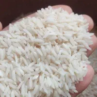 فروش برنج هاشمی