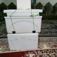 باکس یخدون|ظروف نگهدارنده، پلاستیکی، یک‌بارمصرف|بم, |دیوار