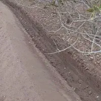 دستگاه ترنچر برای چاله کودی بسیار تمیز..