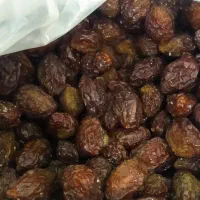 آلو|خوردنی و آشامیدنی|اصفهان, لیمجیر|دیوار