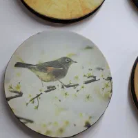 دف 2/4(دایره)|سازهای سنتی|اصفهان, ارزنان|دیوار