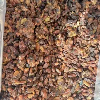 کشمش فروشی|عمدهفروشی|دلیجان, |دیوار