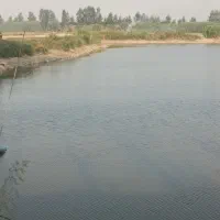 تور شاد شمال 5مهر فقط 6700