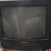 وسایل خانگی|فرش|سقز, |دیوار