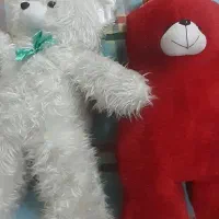 *خرس بزرگ*