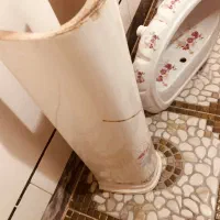 روشویی چینی|لوازم سرویس بهداشتی|ملایر, |دیوار