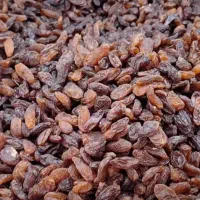 کشمش ومویز خرمامخصوص آبگیری بهمراه چرخ کردن رایگان