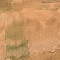 فروش زمین دیمی