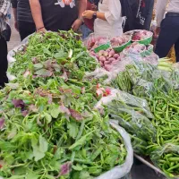 چند نفر نیروی آقا