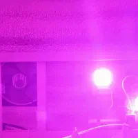 لامپ رشد گیاه ۲۰۰ وات