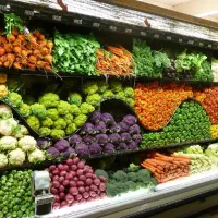 یک شاگر میوه فروش