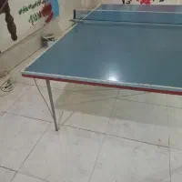 میز پینگ پنگ یا تنیس|ورزش‌های توپی|تربت‌حیدریه, رجایی|دیوار