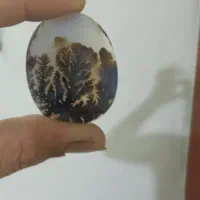 عقیق شجر