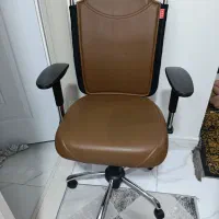 صندلی چرخدار