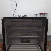 دستگاه جوجه کشی