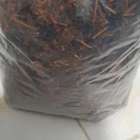 چای شمال ایرانی