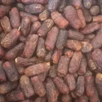 خرما پیارم حاجی آباد|حراج|یزد, |دیوار
