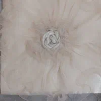 روتختی در حد نو