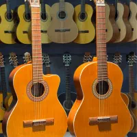 فروش گیتار پارسی نمایندگی اصفهان اقساطی