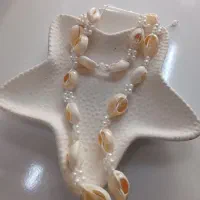 بدلیجات شاین|بدلیجات|بیرجند, |دیوار