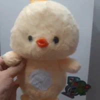 شاسخین و...|اسباببازی|مشهد, هفت تیر (نه دره)|دیوار