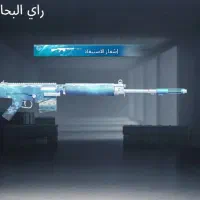 سوسنگرد