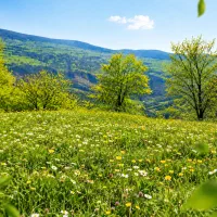 فروش زمین