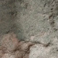 کاه علف باغی