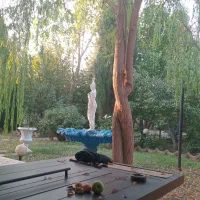 اجاره باغ ویلا سالیانه