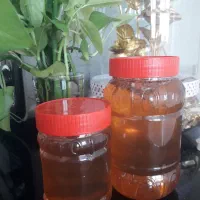 عسل بهاره با بوی عطر فراوان
