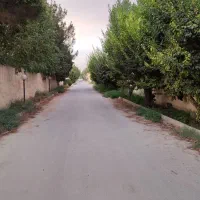 زمین باغی آماده ساخت ویلا۴۵۶متری کردان.تهراندشت|فروش زمین و ملک کلنگی|کرج, عظیمیه|دیوار